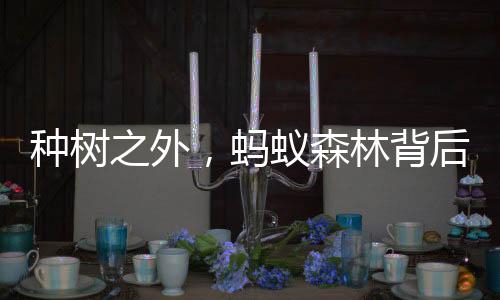 种树之外，蚂蚁森林背后的碳交易市场