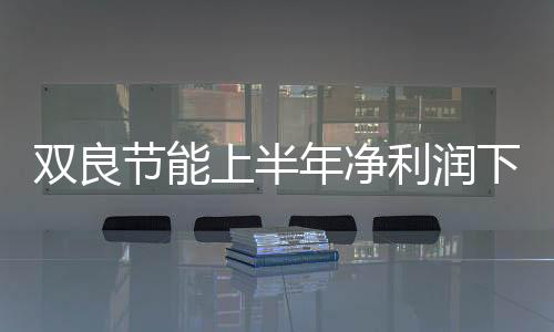 双良节能上半年净利润下滑100% 未来谋求节能环保扩张