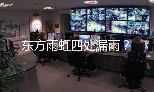 东方雨虹四处漏雨？